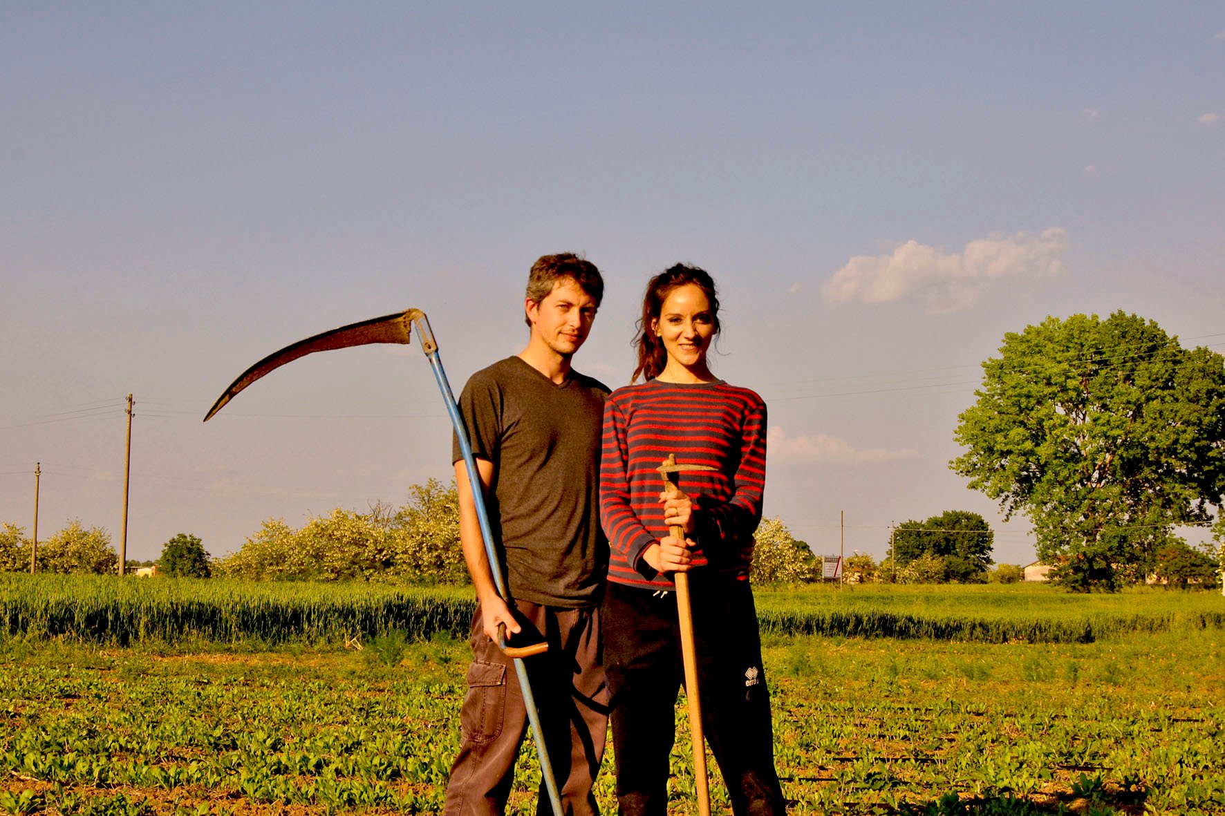 Proprietà Della Calendula Sulla Pelle Gli usi e le proprietà della calendula per prendersi cura della pelle