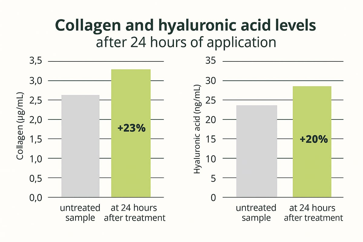Fermentati-complex-eng