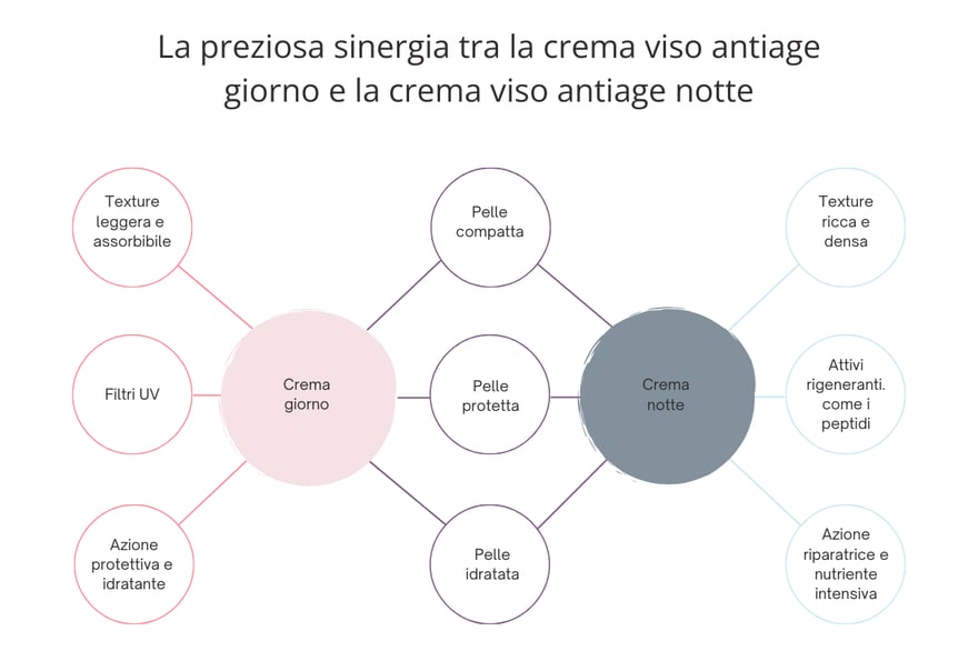 Grafico-sinergia crema antiage giorno e notte