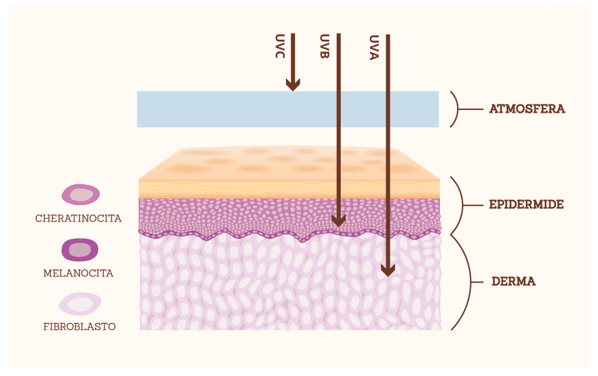 Quella Attinica è Causata Dai Raggi Uv E-state al sole: protetti e sicuri con i filtri solari fisici!