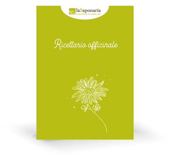 Saponaria-ebook-ricettario-preview