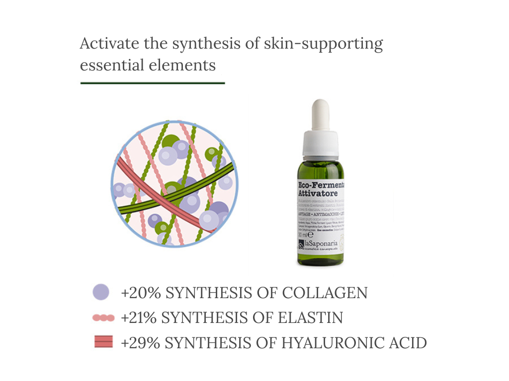 attivatore-grafica-eng-1