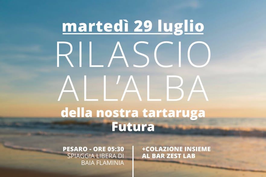 mail-rilascio-Futura-2-2